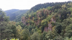 20150814_q_cascade du nideck_vue du haut.jpg