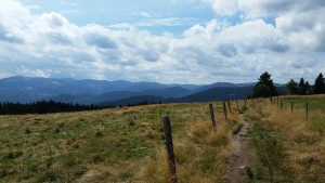 20150817_zk_entre lac noir et lac forlet.jpg