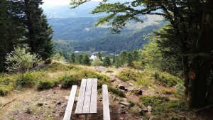 20150819_m_lac des perches.jpg