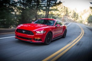 Copie de 2015Mustang_t5e9701.jpg