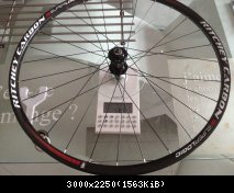 Ritchey superlogic Av nue 597gr